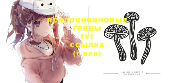 гидра Иннополис