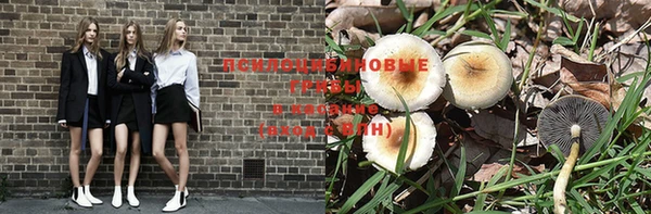 тгк Инта