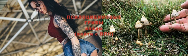 альфа пвп VHQ Инсар