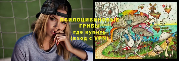 тгк Инта