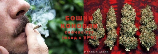 тгк Инта